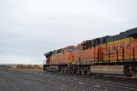 BNSF 7667